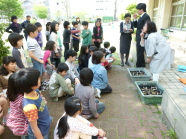 小学生がゴーヤの説明を受けています